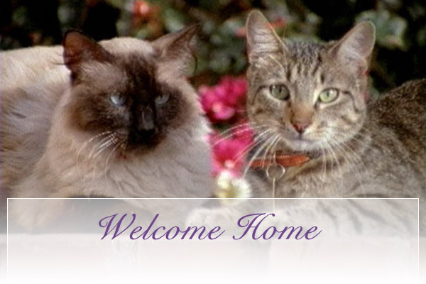 Jan\'s Pet Sitting in Belmont, Burlingame, Foster City, San Carlos, San