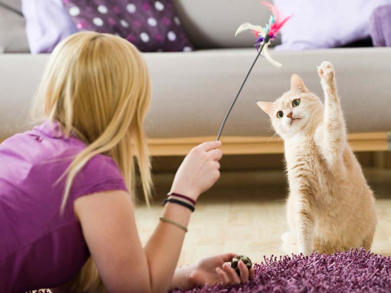 Foster City, San Mateo, Bay Area pet sitting professional pet sitter Jan's Pet Sitting Services