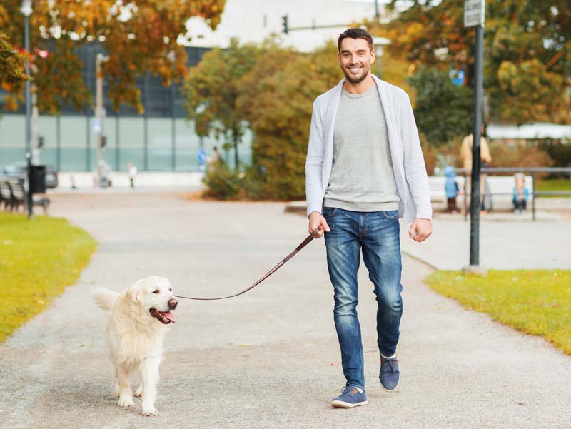 Foster City, San Mateo, Bay Area dog walking professional dog walker