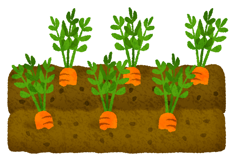 Daikon radish field Free Clipart Illustrations Japaclip