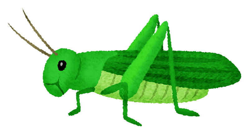 バッタのキャラクター（虫） | かわいいフリー素材集 いらすとや バッタの無料イラスト | フリーイラスト素材集 ジャパクリップ