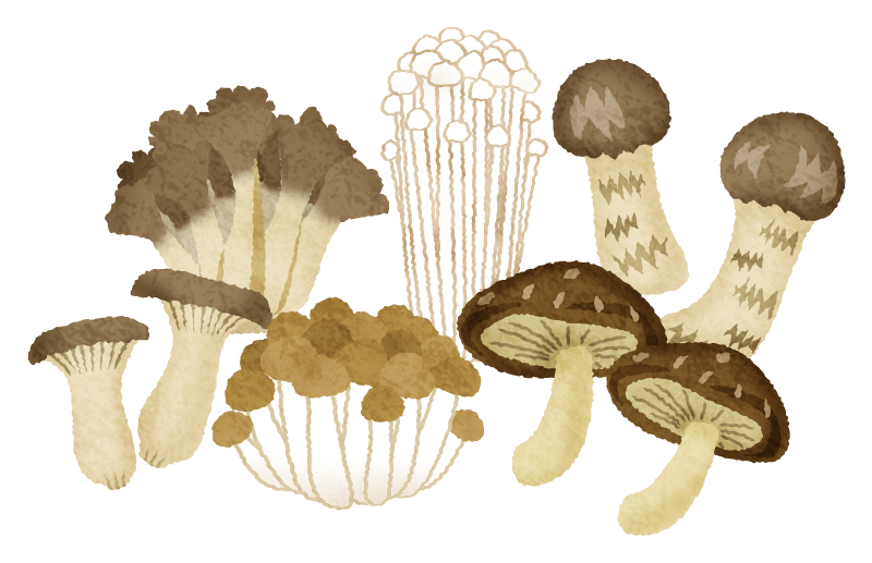 きのこの絵: Mini-Poche 色々なきのこの無料イラスト | フリーイラスト素材集 ジャパクリップ