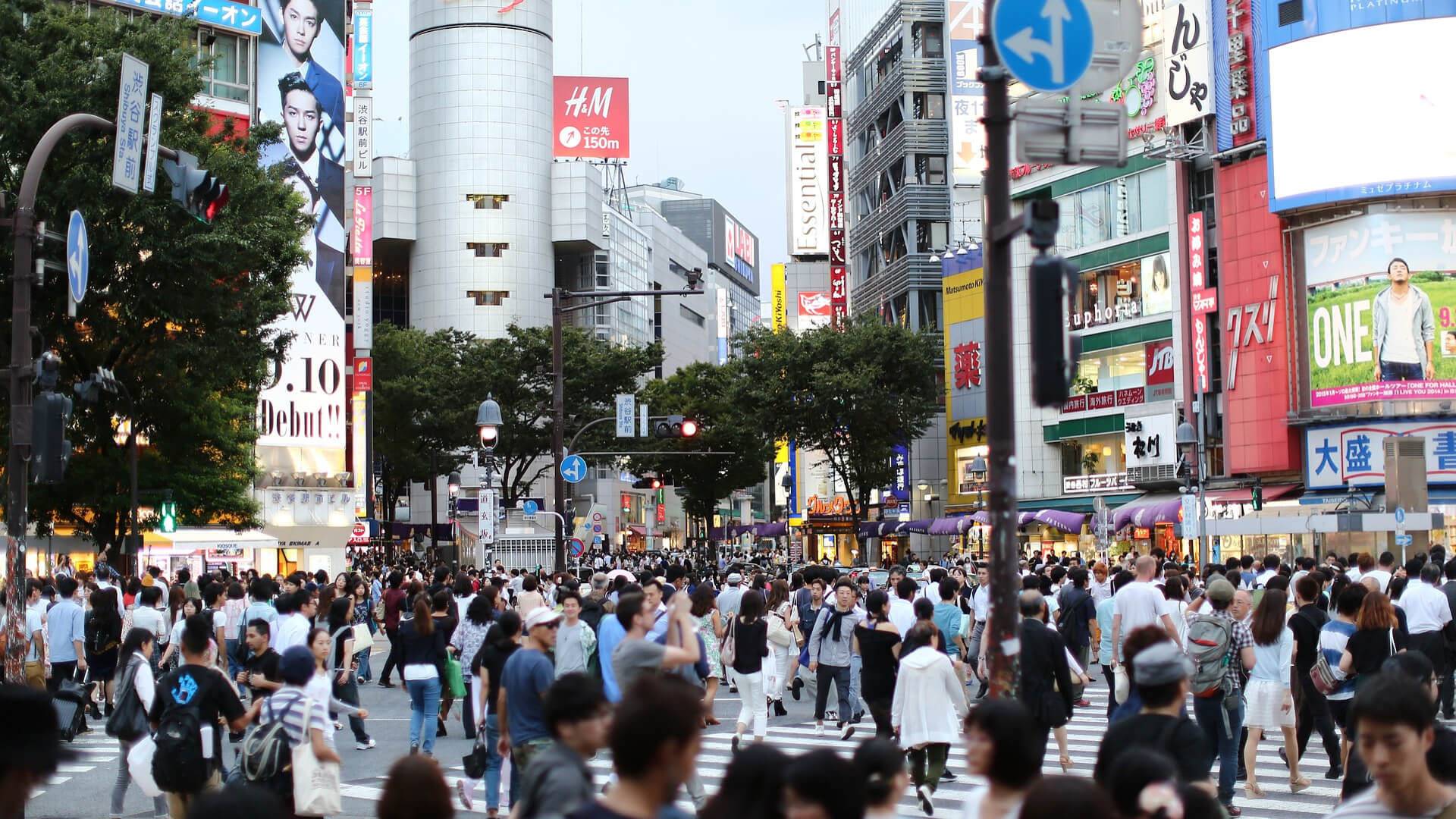 11 Popular Tokyo, Japan Travel Destinations JAPAN and more