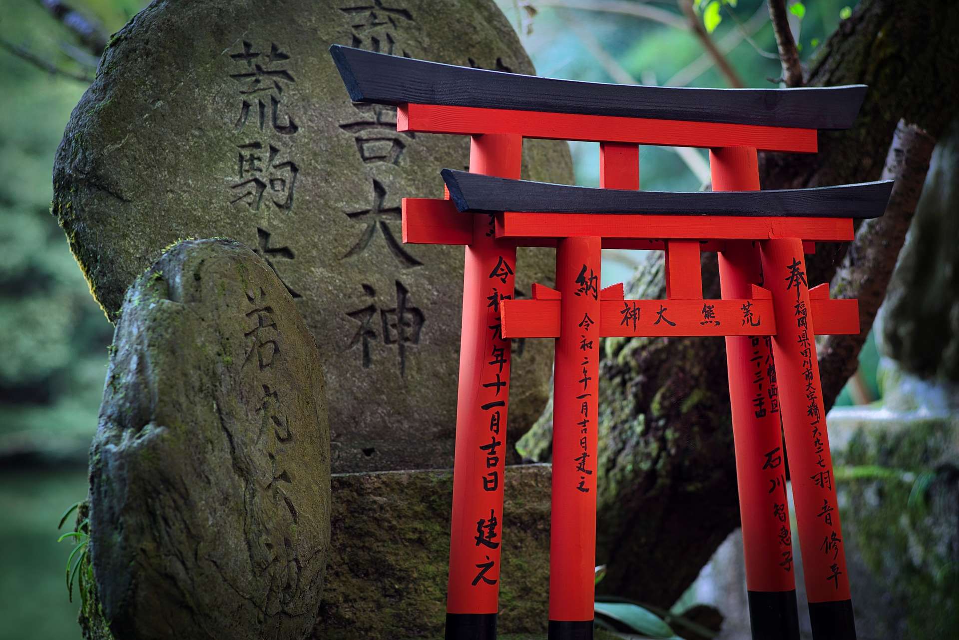 What is Shinto? Understanding Japan's deep rooted beliefs