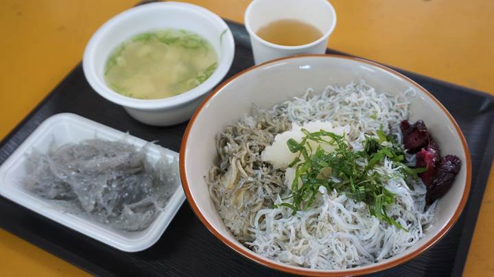 高知のどろめ しらす丼 6円 土佐角弘海産 のっけ放題ちりめん丼セルフ販売 Japan Course 日本語