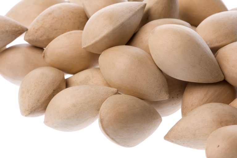 Ginko Nuts Japanese Food 101