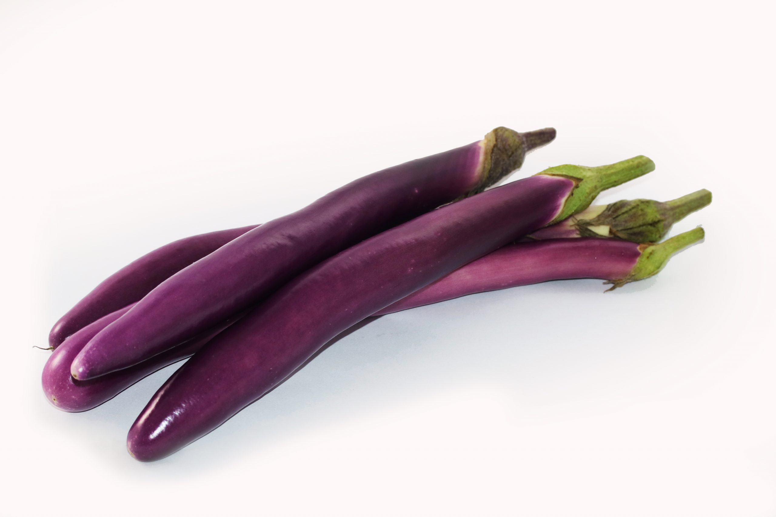 Japanese Eggplant Japanese Food 101