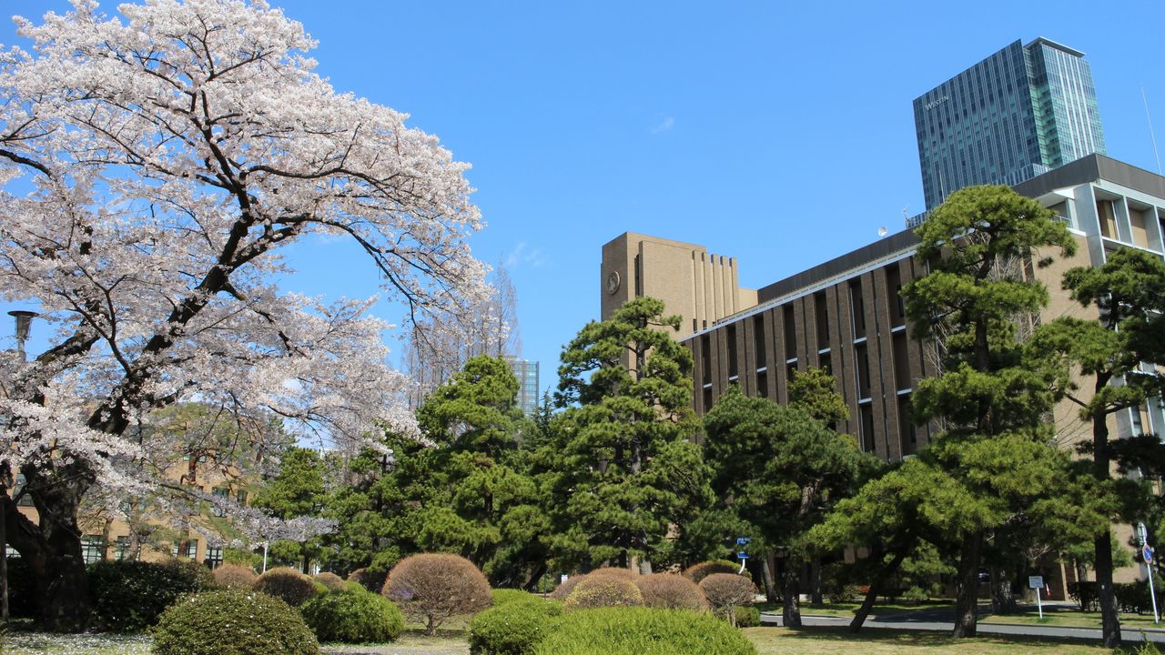 Japan's Top 20 Universities in 2023 (THE) Japan Insider