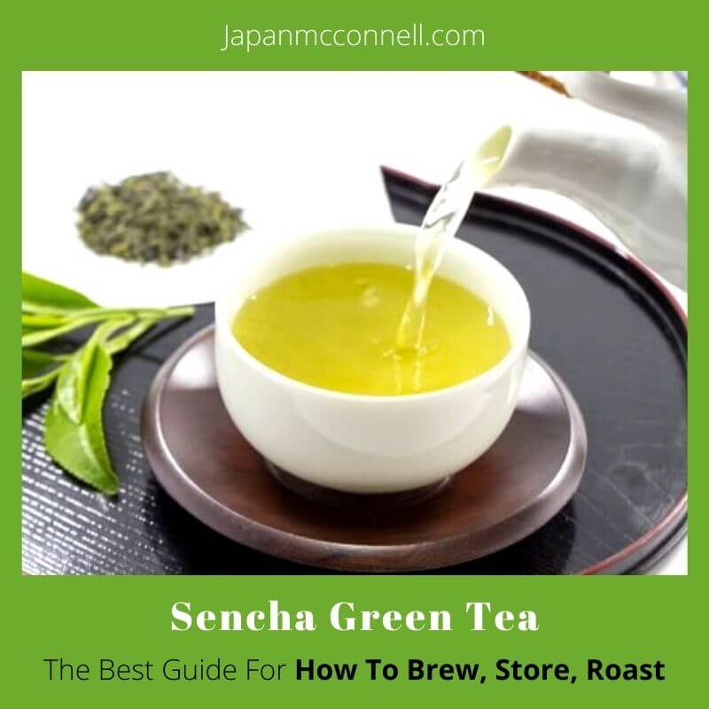 Sencha Guide