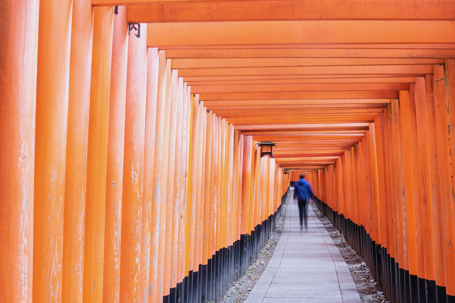 The Most Stunning Japan Photography You've Ever Seen