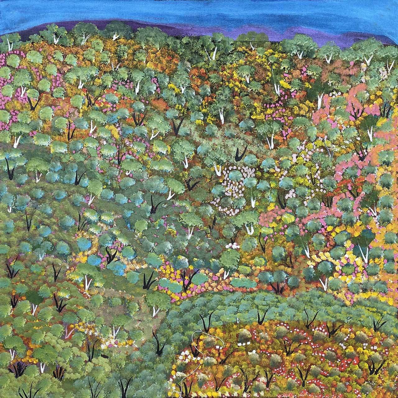 Ada Beasley exhibition Barkly Arts at Japingka Aboriginal Art