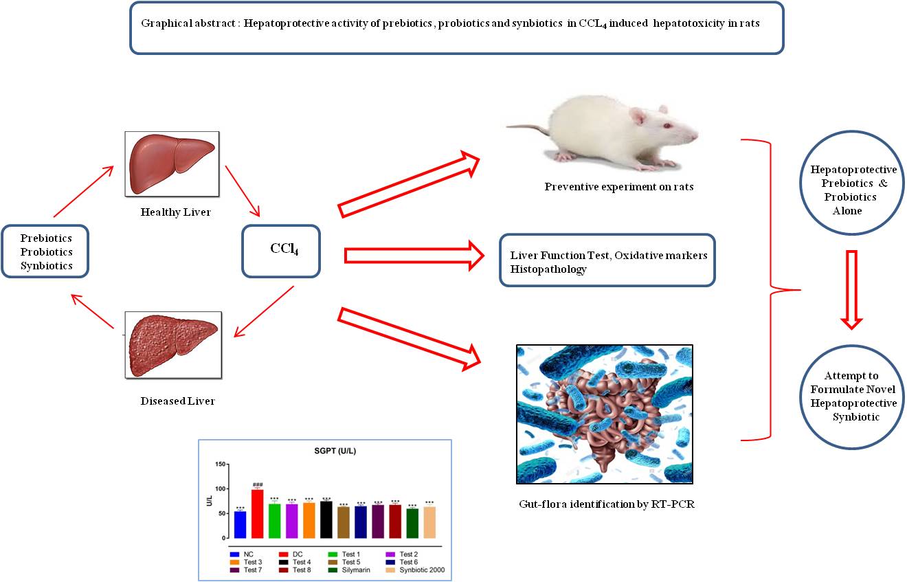 A study to evaluate the hepatoprotective activity of prebiotics