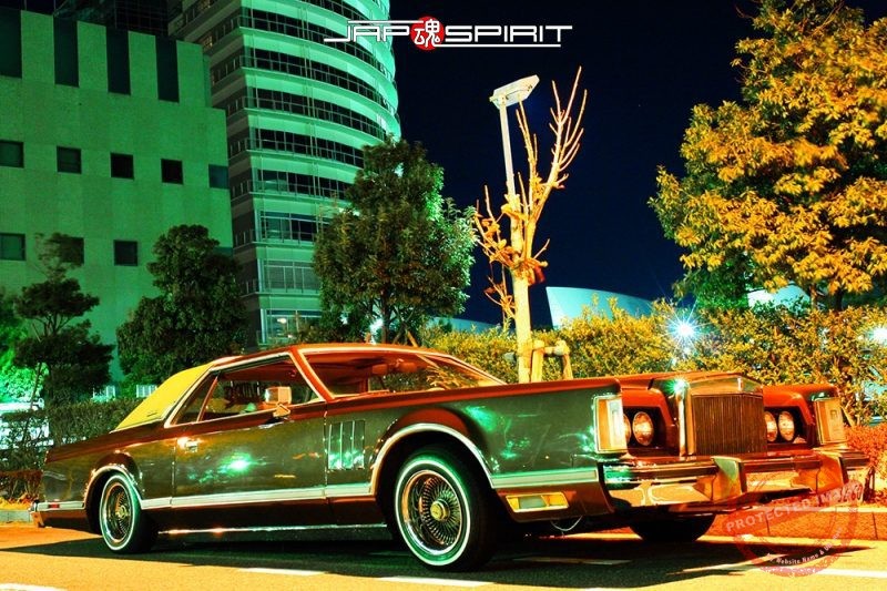 FORD Lincoln Continental Mark VI 1980 Mark VI Bill Blass Edition 2