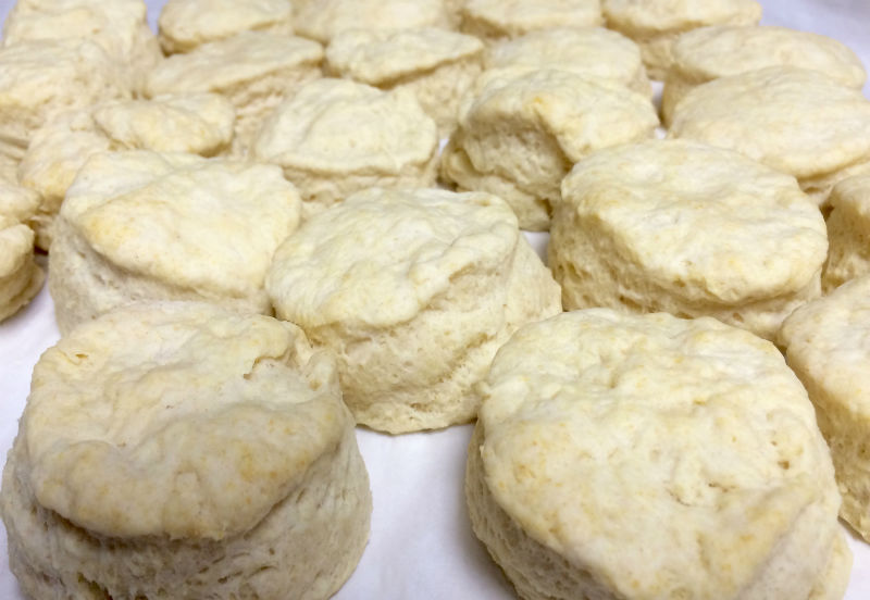 Best Baking Powder Biscuits JAQUO Lifestyle Magazine