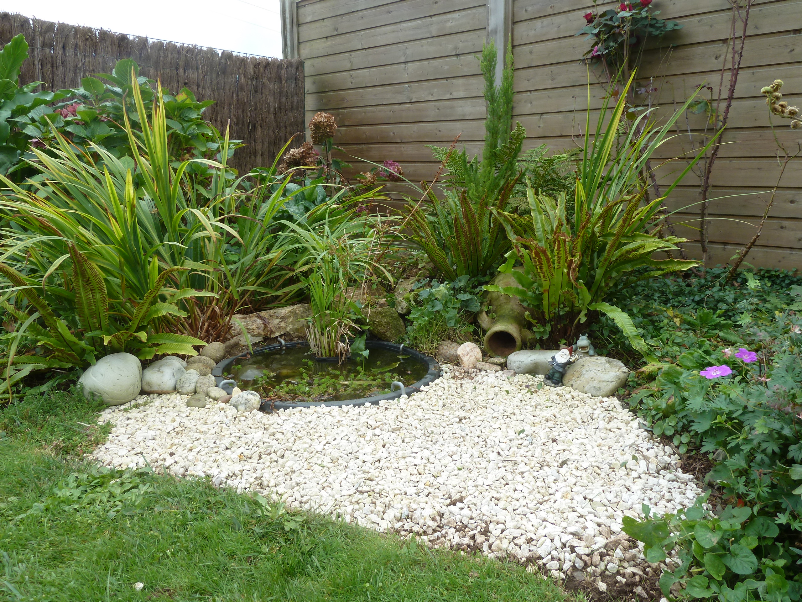 Une Saison Au Jardin Notre Petit Jardin Breton