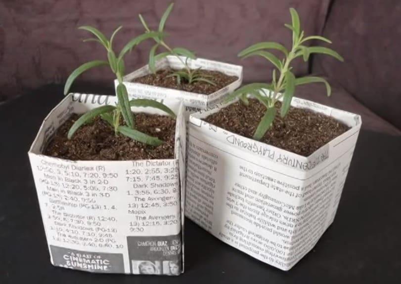 Comment faire des pots de journaux recyclés robustes Jardin de Grand