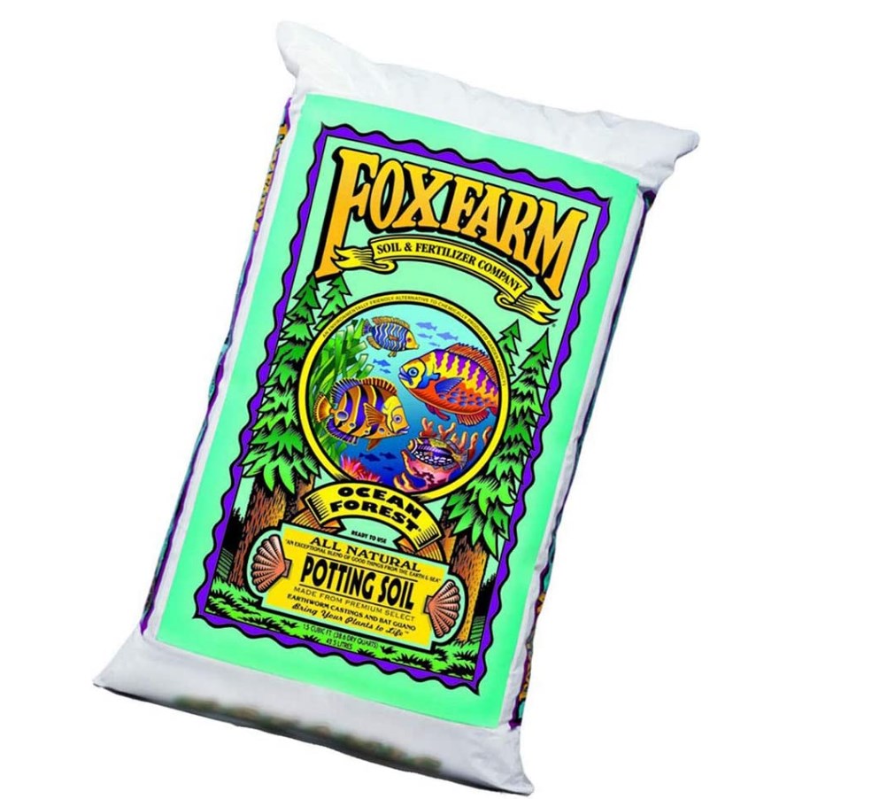 Amish Paste Tomato Growing Guide How to Grow This Juicy Tomato Type