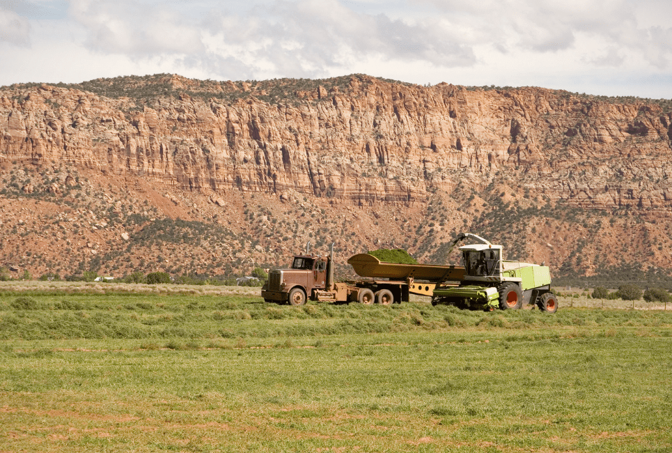 Growing Zones In Arizona