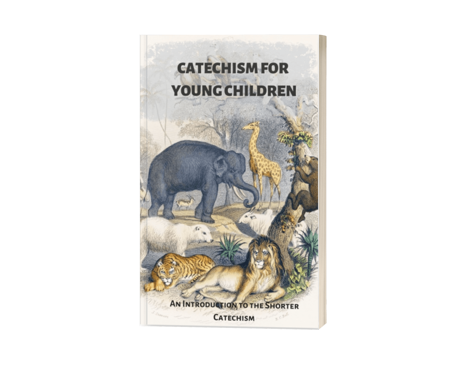 CATECHISM FOR YOUNG CHILDREN Jared Dodd