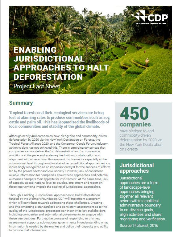 Palm Oil Deforestation Facts