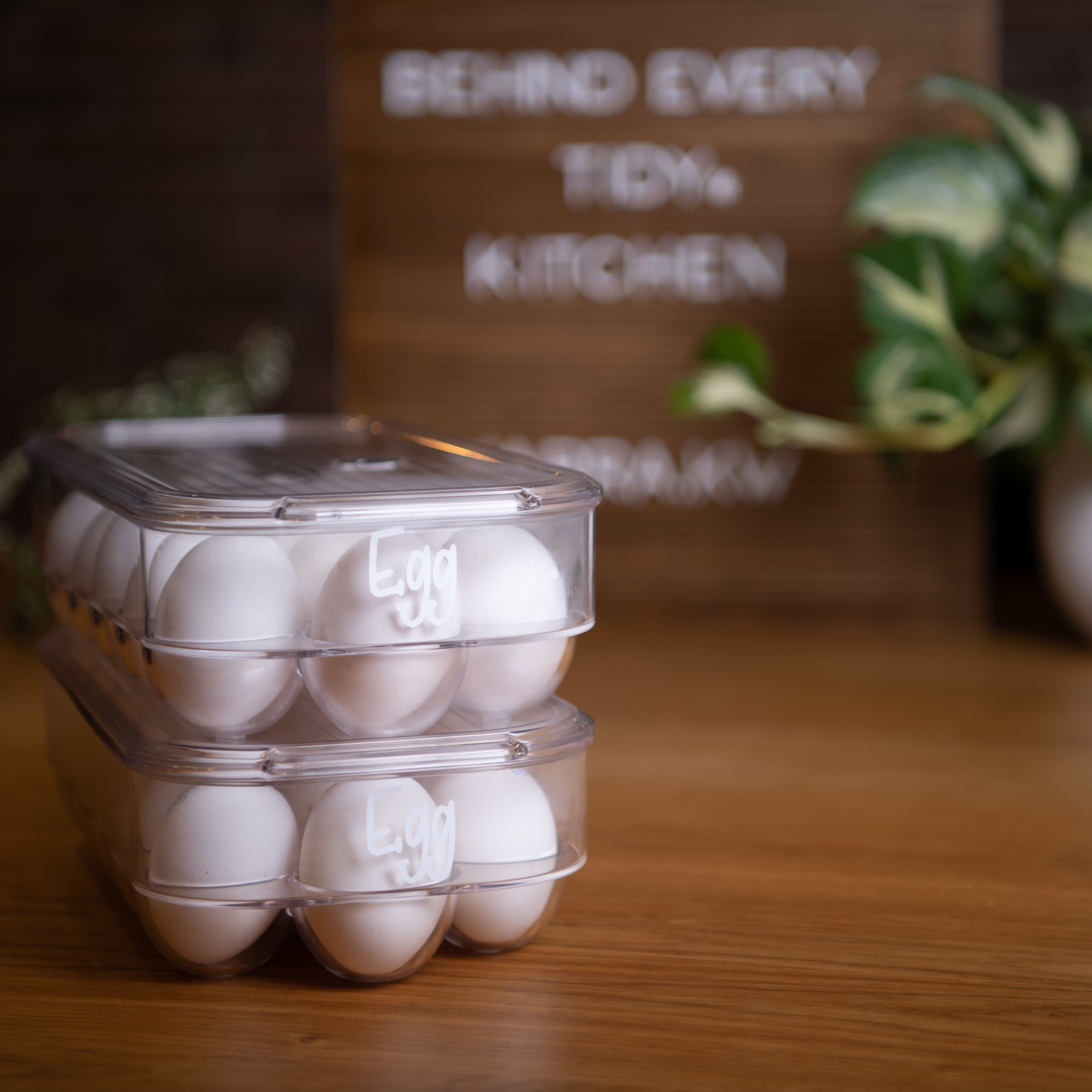 Jarra. Fridge Egg Bin