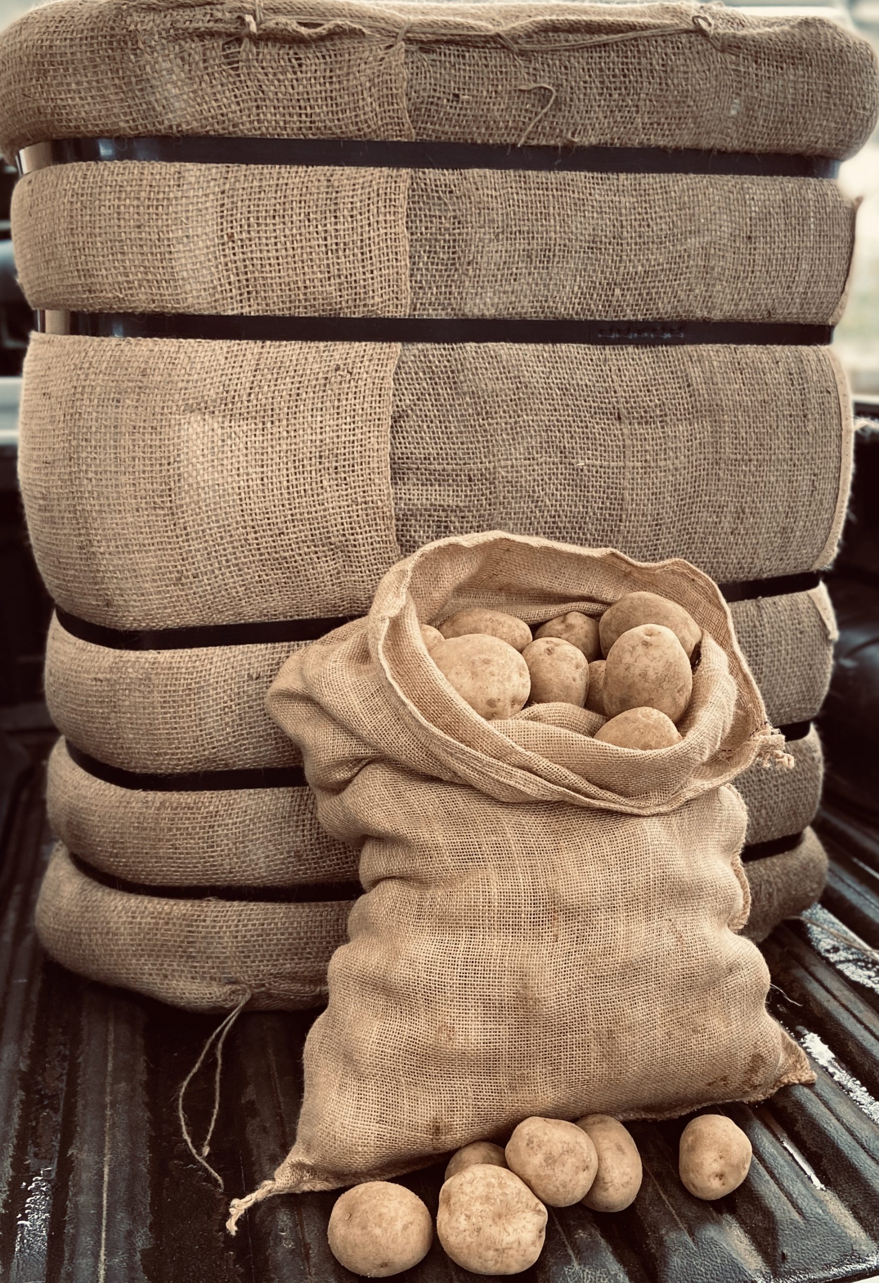Hessian Bags Jarvis