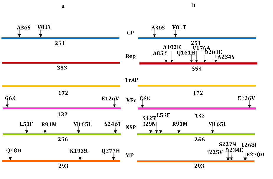 Single nucleotide polymorphism analysis and 3D protein models predict a