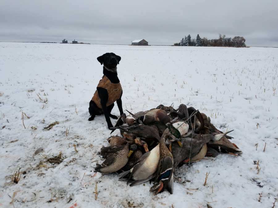 Texas Waterfowl Hunting Jason Catchings