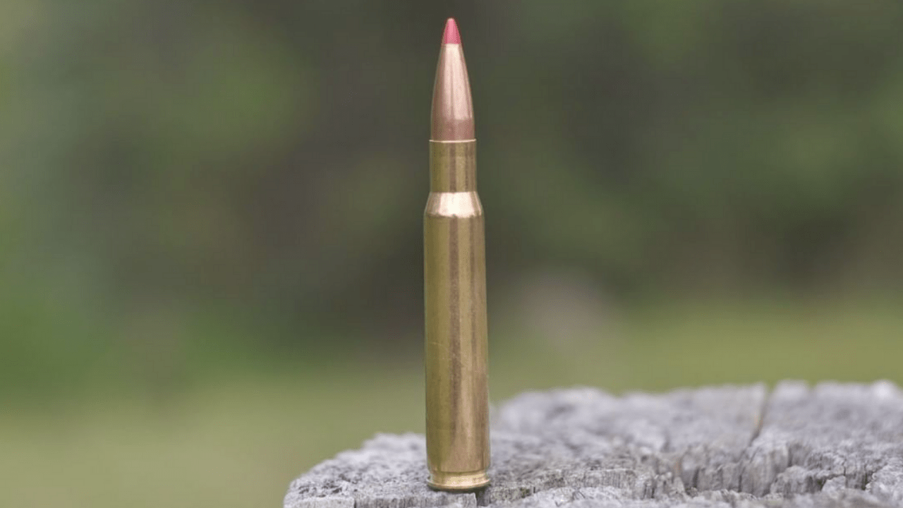 Best All Around Hunting Rifle Caliber For Versatility