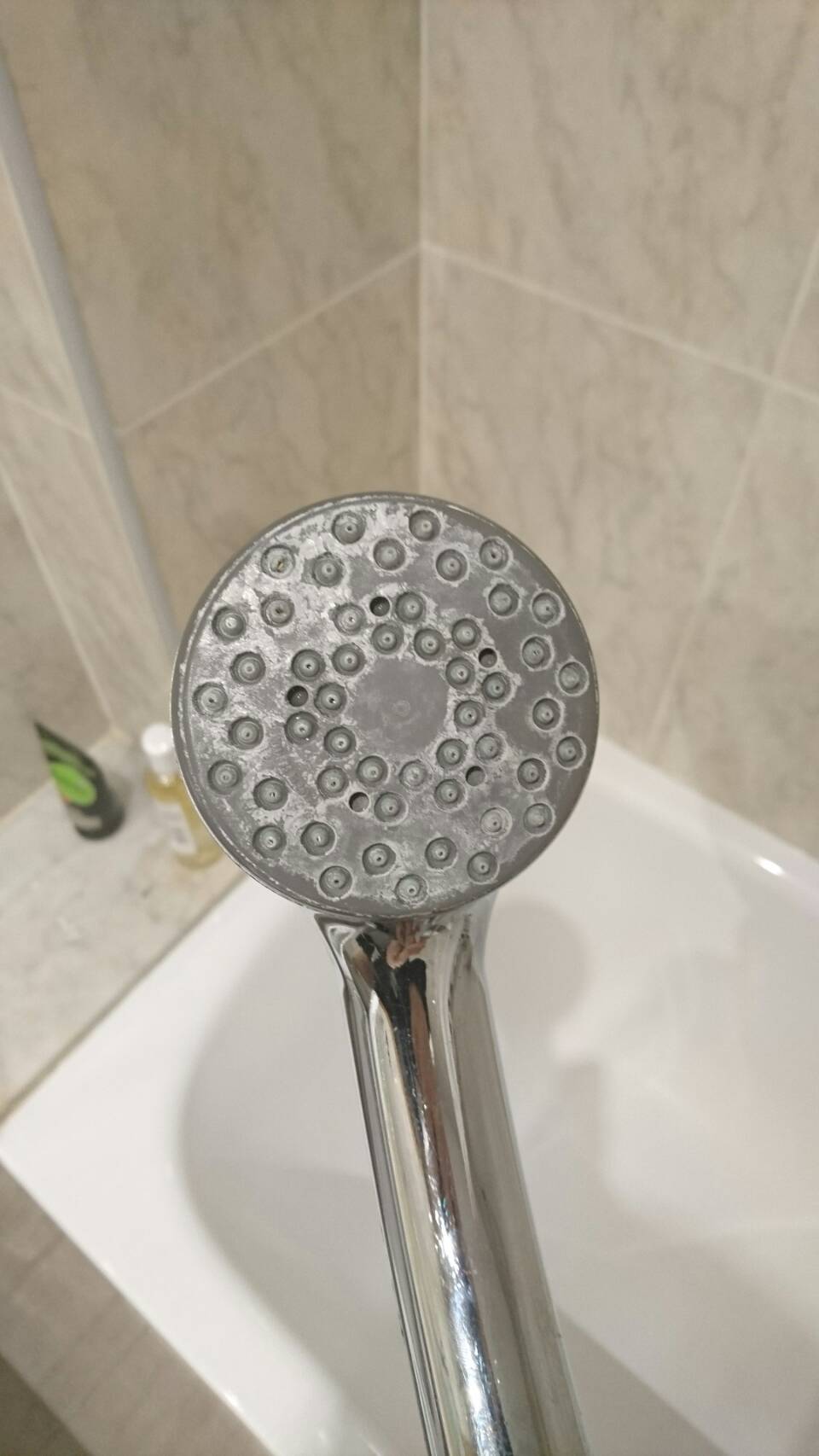 Factors Affecting the Efficacy of Disinfection and Sterilization