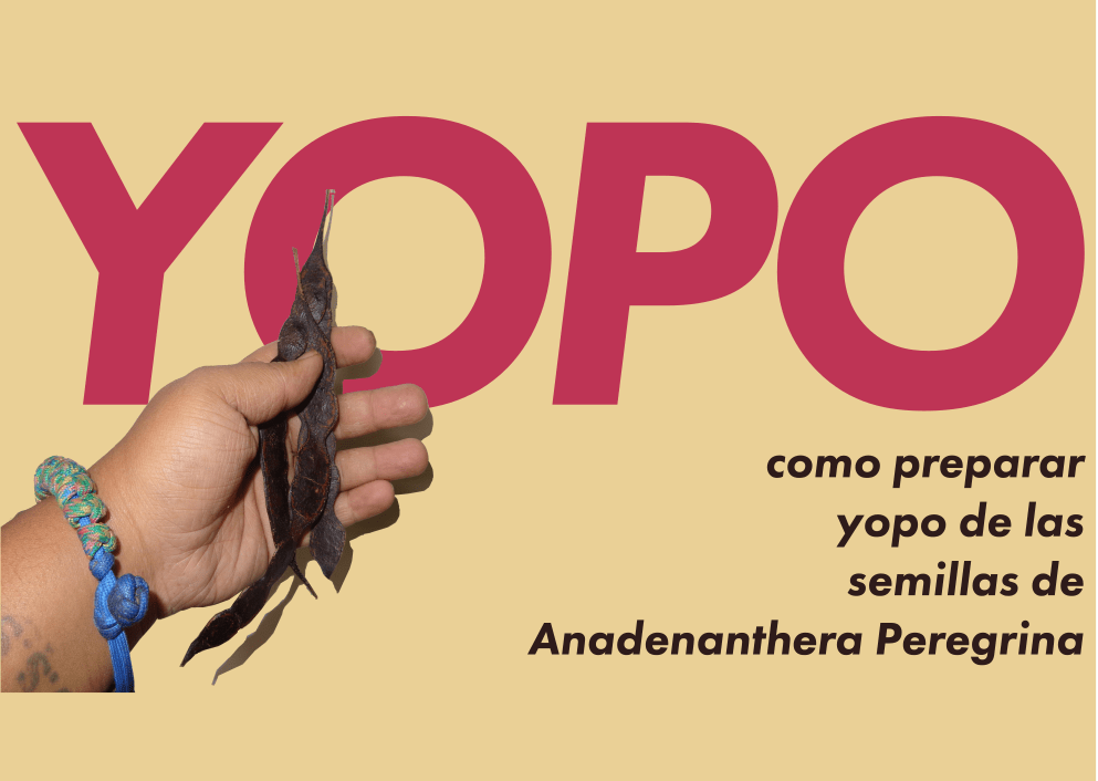 Tutorial del Yopo El Universo de JASPER PALMER