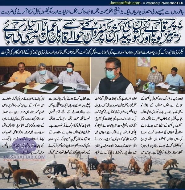 Dog Birth Control policy to be prepared by Livestock Dept