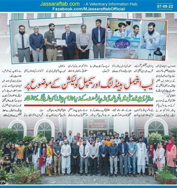 Lab Animals Handling and Sample Collection Training at UVAS