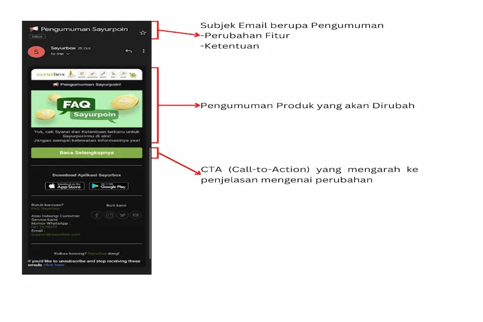 5 Contoh Email Marketing yang Menarik yang Harus Dipelajari