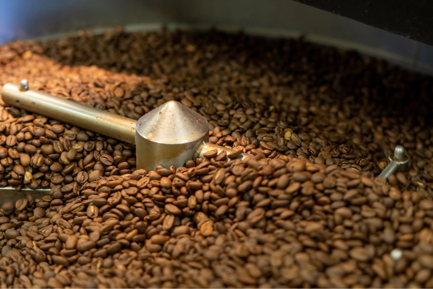 Halifax Coffee Roaster and Cafe Buy Specialty Coffee Online Java