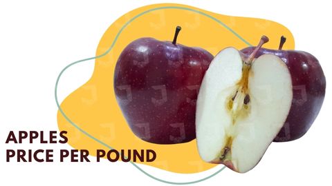 Apple wholesale price 1 kg in Iran | Fresh apples | Javaheri Company