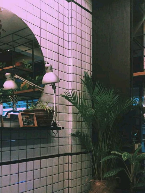 1001+ Preset VSCO Aesthetic Keren Ala Selebgram Gratis Terbaru 2021