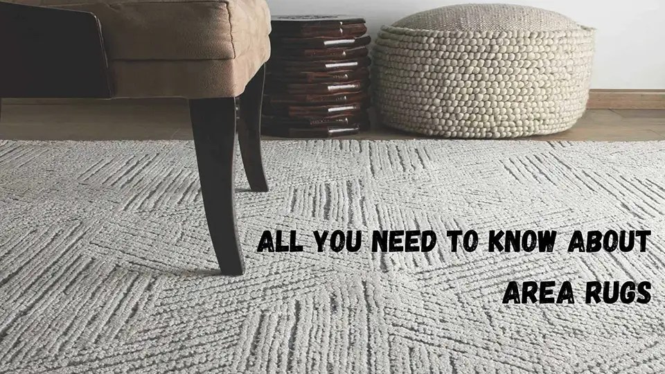 Find The Perfect Area Rug JAVI Home