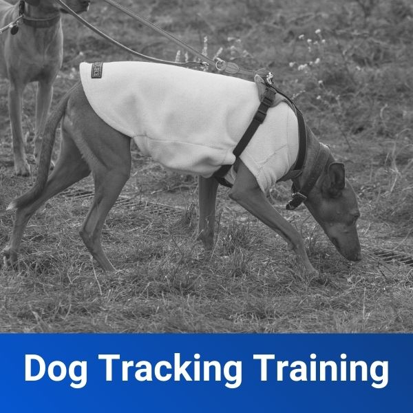 Dog Tracking Training Off Leash K9 Training of Jacksonville, FL