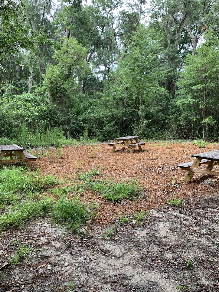 Hiking Trails Jacksonville, Florida Bogey Creek Preserve Jacksonville