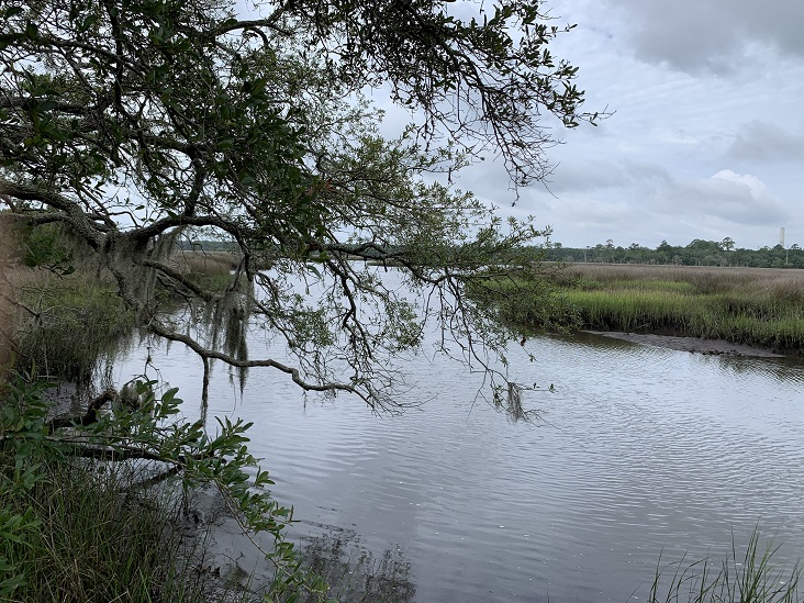 Hiking Trails Jacksonville, Florida Bogey Creek Preserve Jacksonville