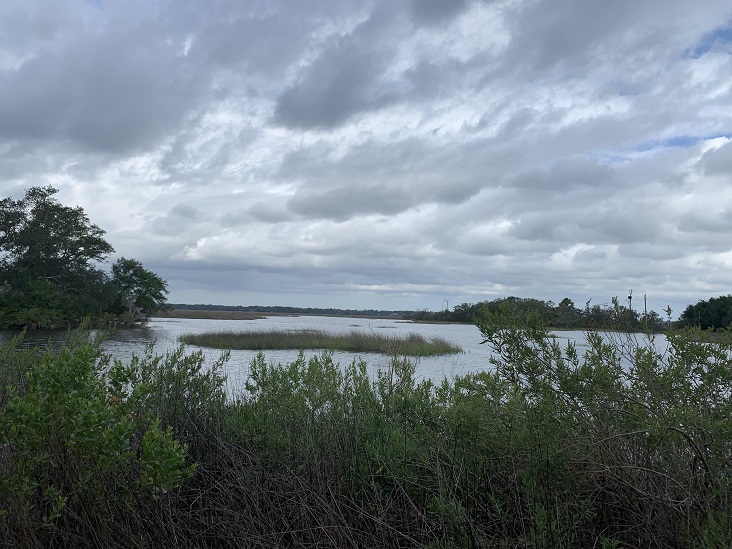 Hiking Trails Jacksonville, Florida Dutton Island Preserve II