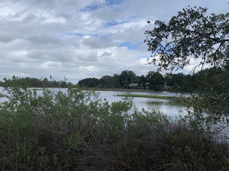 Hiking Trails Jacksonville, Florida Dutton Island Preserve II
