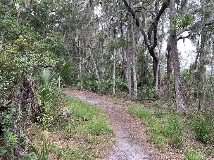 Hiking Trails Jacksonville, Florida Dutton Island Preserve II
