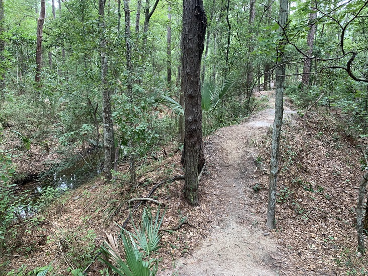 Hiking Trails Jacksonville, Florida Dutton Island Preserve II