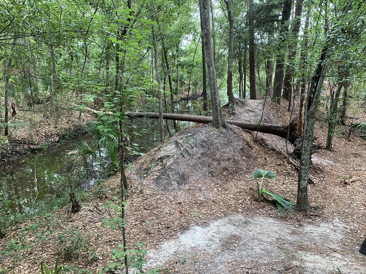 Hiking Trails Jacksonville, Florida Dutton Island Preserve II