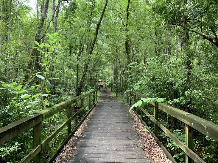 Hiking Trails Jacksonville, Florida Julington Durbin Creek Preserve