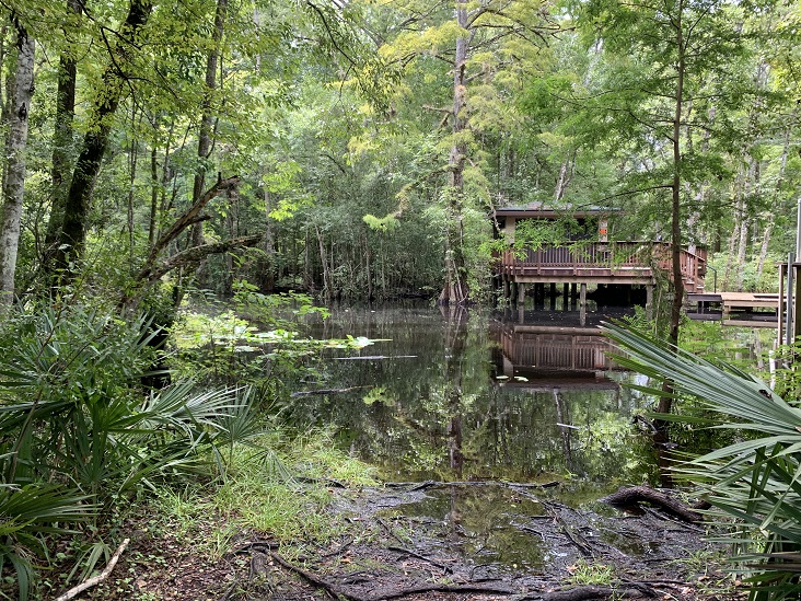 Hiking Trails Jacksonville, Florida Julington Durbin Creek Preserve