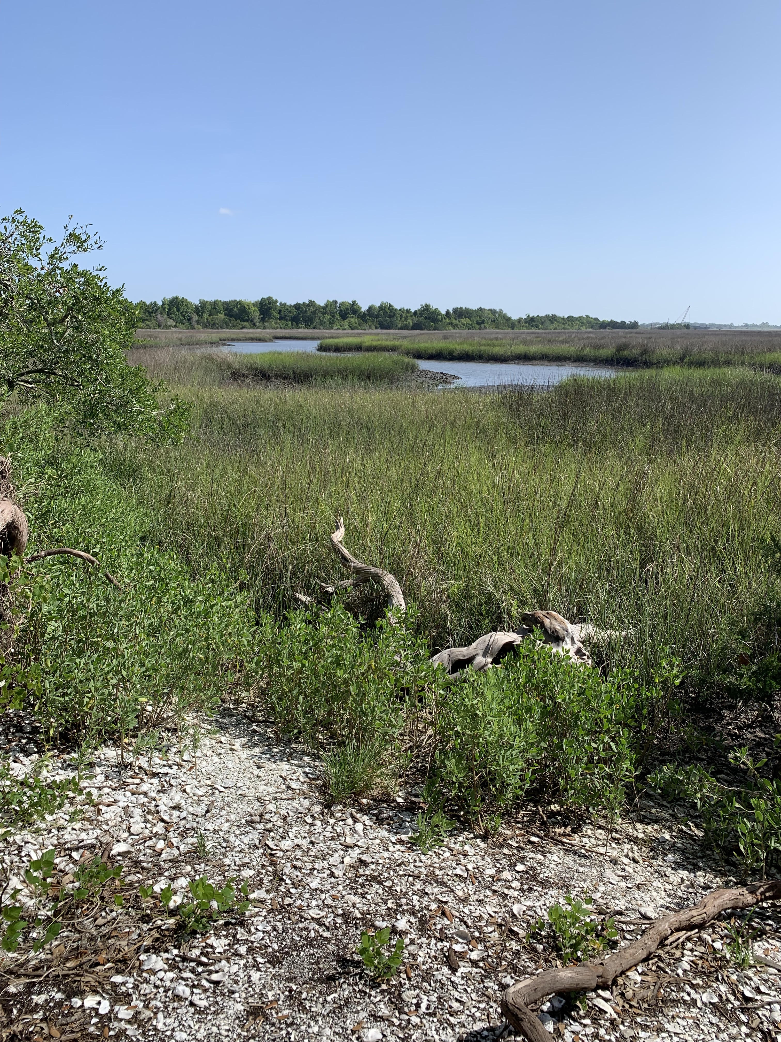 Hiking Trails Jacksonville, Florida Spanish Pond Jacksonville