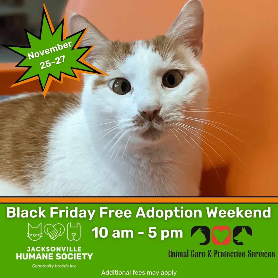 Black Friday Free Adoption Weekend Jacksonville Humane Society